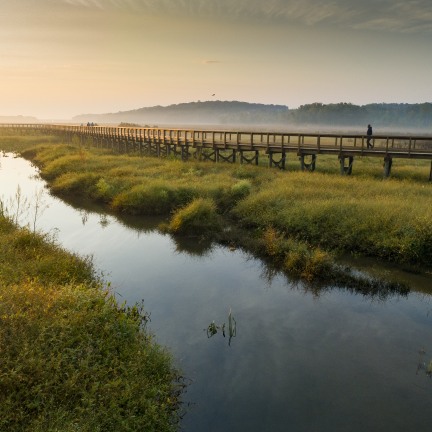 Photo: a serene sunset at a wetland. A boardwalk stretches out through the wetland, running next to a creek.