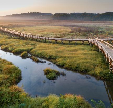 Bridge over a Marsh
